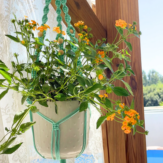 Qual cordão escolher para um projeto de exterior?